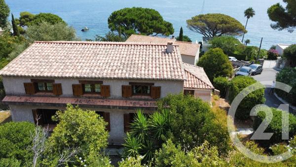 Maison à vendre  8 pièces - 218 m 2   PATRIMONIO  - 202