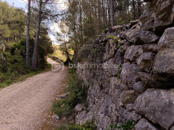 Terrain agricole de 525 m²