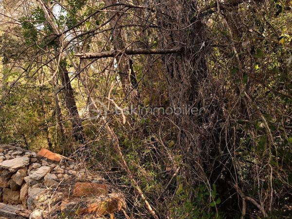 Terrain agricole de 525 m²