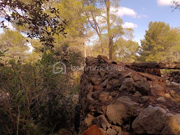 Terrain agricole de 525 m²