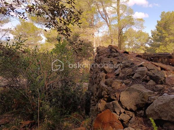 Terrain agricole de 525 m²