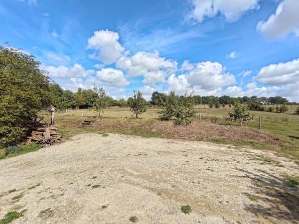 Grande maison familiale avec 3 studios locatifs et 1 hectare de terrain aux portes de Vitré