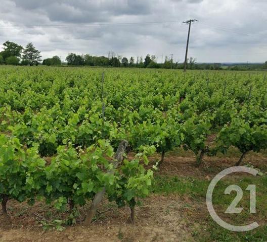Maison à vendre  9 pièces - 376 m 2   ST QUENTIN DE BARON  - 33