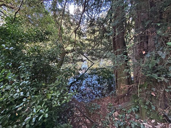 Maison - 5 pièces - 89 m²