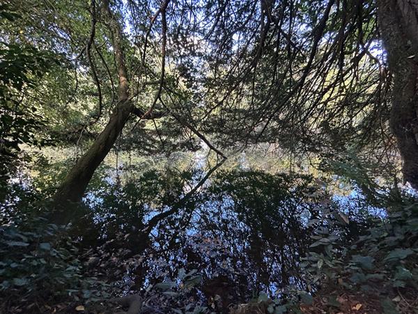 Maison - 5 pièces - 89 m²