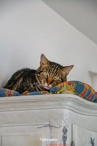 ETAULES - MAISON RECENTE DE PLAIN-PIED AVEC PISCINE URBAINE