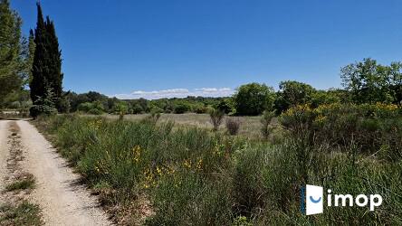 VILLA AVEC PISCINE ZONE NATURELLE