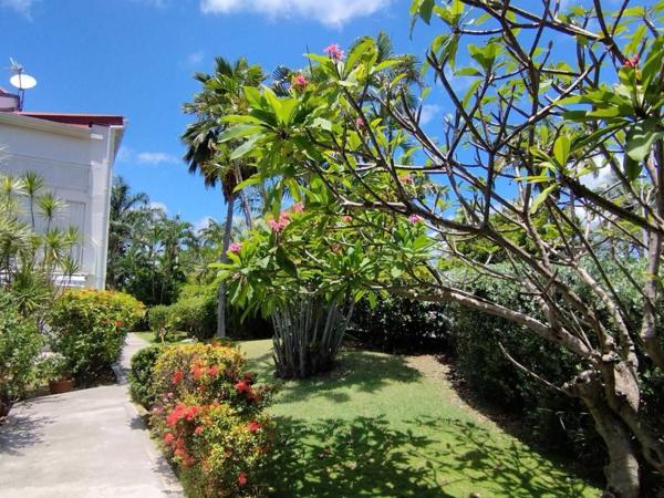 Appartement à vendre  1 pièce • 24,51 m2 Saint-François