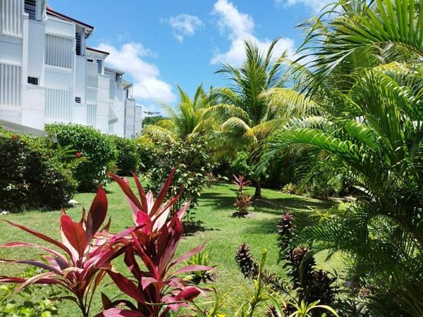 Appartement à vendre  1 pièce • 24,51 m2 Saint-François