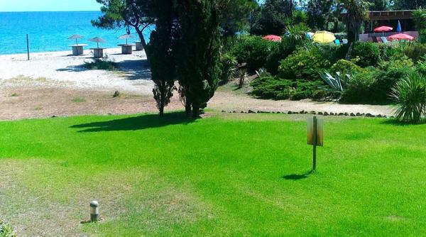 Le coeur de Moriani à vos pieds : Studio  Prêt à vivre