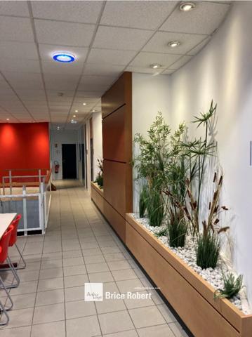 Bureaux à louer à Vaulx-en-Velin avec entrée indépendante et parkings