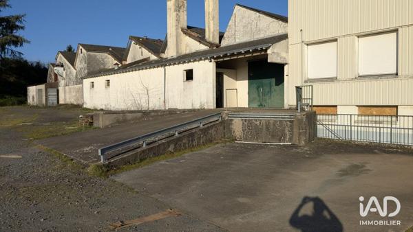 Murs commerciaux  à vendre 3 178 m² Montrevault-sur-Èvre