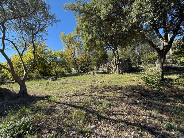 Lodève (34700) LODÈVE, SUR LES HAUTEURS Superbe villa 5 pièces – 159 m² habitables – Terrain arboré de 3 591 m²