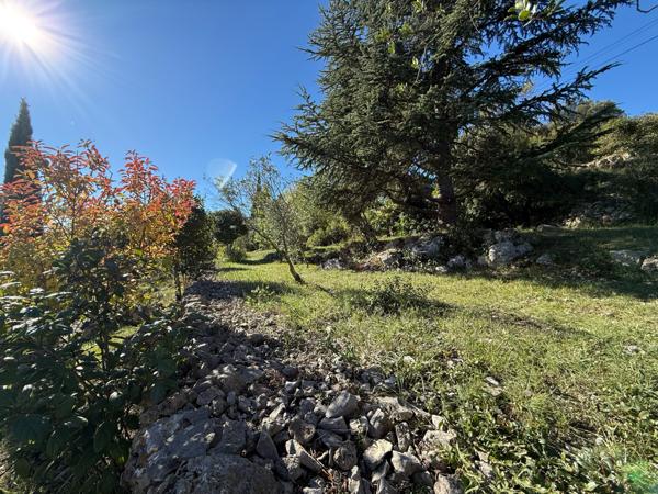 Lodève (34700) LODÈVE, SUR LES HAUTEURS Superbe villa 5 pièces – 159 m² habitables – Terrain arboré de 3 591 m²