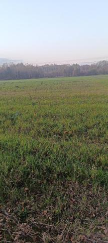 Terrain à bâtir grande façade