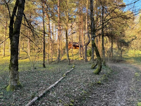 Chalet 2 pièces 20 m²