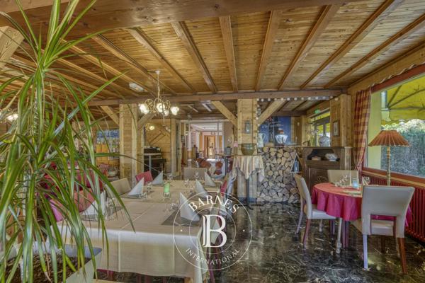 Gex, Hôtel 19 Chambres -  1 061 m² à vendre
