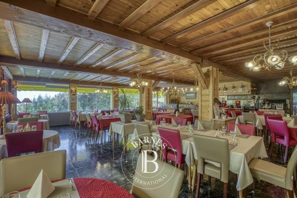 Gex, Hôtel 19 Chambres -  1 061 m² à vendre