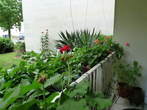 Appartement 3 pièces – 57 m² – Rez-de-chaussée – 2 caves - Box en option - Quincy-sous-Sénart