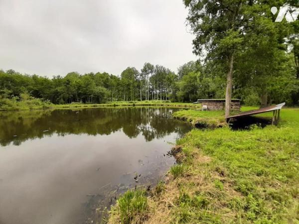 TERRAIN DE LOISIR AVEC ETANG 
