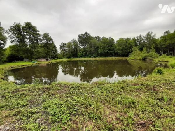 TERRAIN DE LOISIR AVEC ETANG 