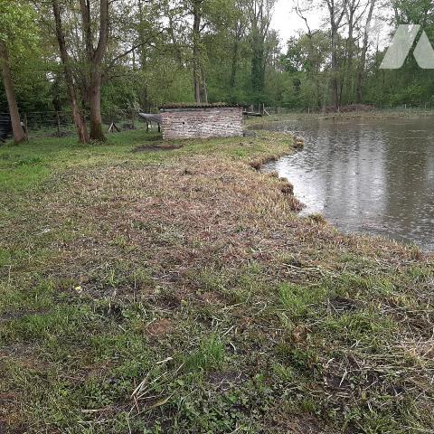TERRAIN DE LOISIR AVEC ETANG 