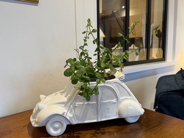 ROYAN CENTRE - Appartement  3 pièce(s) 85m²