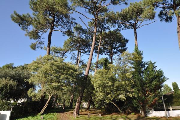 MAISON FAMILIALE - ARCACHON