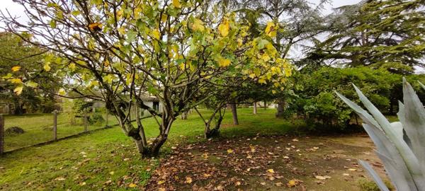 Albi: Maison T6 des années 40 de 161m2 avec demi-sous sol aménageable et terrain de 1496m2.