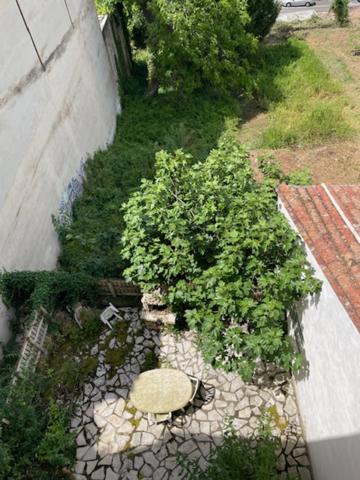 Duplex centre ville + appartement