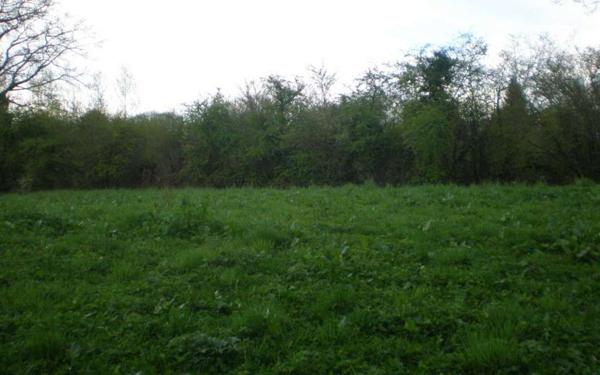 Terrain à vendre    La Brionne