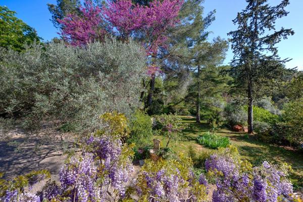 Bastide provençale Draguignan