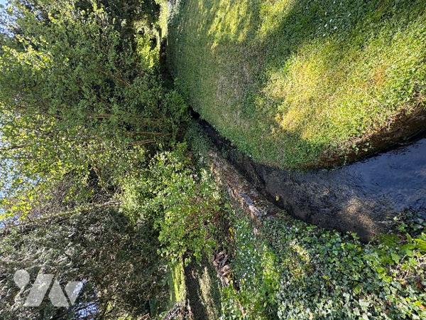 Maison de Maître  avec vaste parc arboré et dépendances.
BIEN RARE!