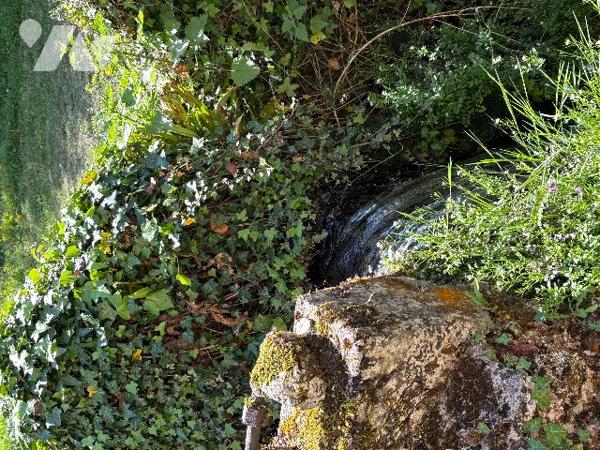 Maison de Maître  avec vaste parc arboré et dépendances.
BIEN RARE!