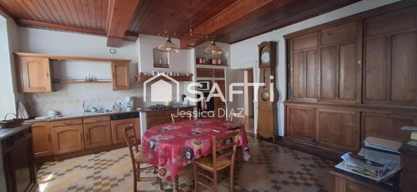 Proche centre ville Albi - Maison de Maitre - 12 pièces