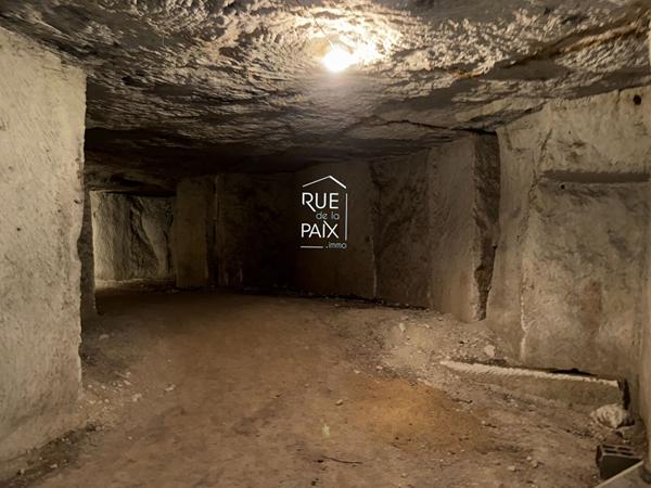 86490 COLOMBIERS Maison Colombiers 5 pièce(s) 227m2