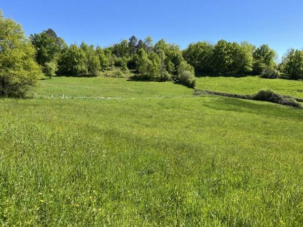 Terrain à vendre |  Meyssac |  1039 m²