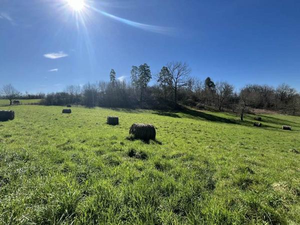 Terrain à vendre |  Meyssac |  1039 m²