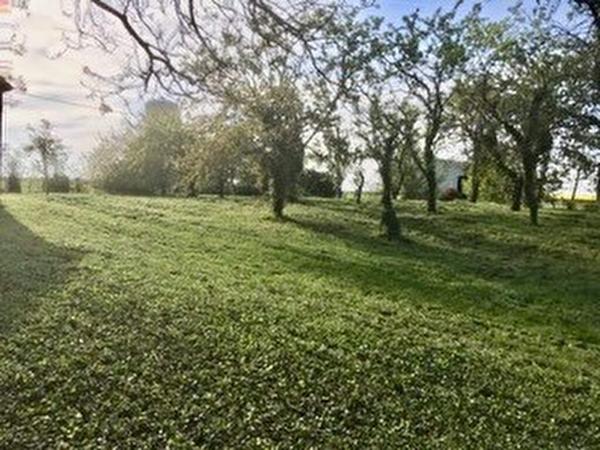 Terrain 1189 m2