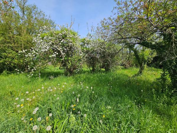 Terrain plat , Environnement calme, Proche commerces