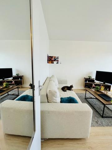 Appartement à vendre |  La Rochelle |  1 pièce | 25 m²