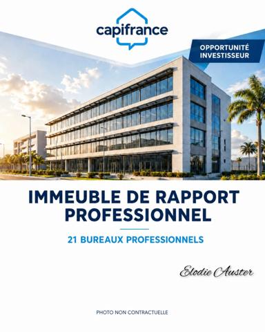 Immeuble professionnel de rapport de 21 bureaux