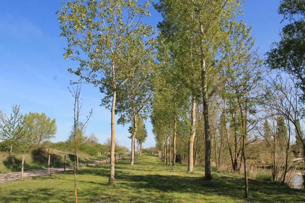 TERRAIN DE LOISIR