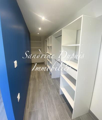 Saintes (17100) Maison charentaise lumineuse rénovée avec jardin et appentis.