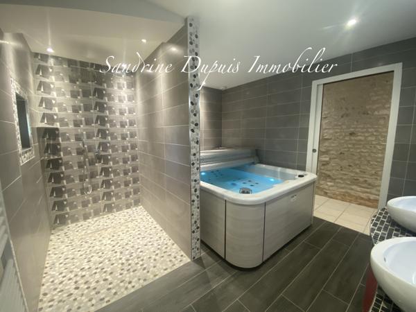 Saintes (17100) Maison charentaise lumineuse rénovée avec jardin et appentis.