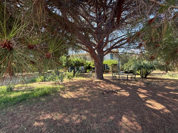 Une propriété d'exception 282m² - 7500m² de terrain