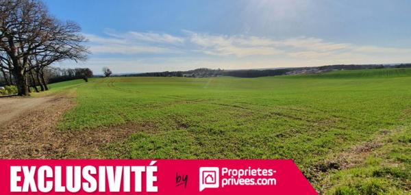 Vente Terrain agricole