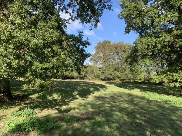 La Baule-Escoublac (44500) LA BAULE - BOURG ESCOUBLAC - Beau terrain à bâtir arboré