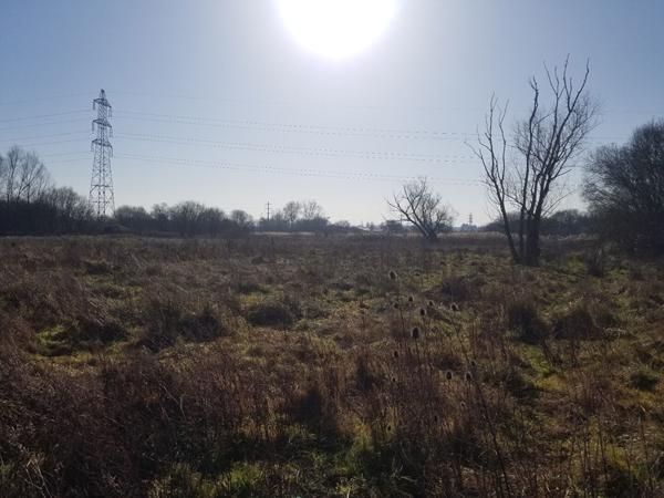 Exploitation Agricole à VENDRE