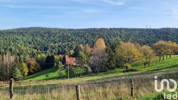 Terrain à vendre 2 300 m² Dabo